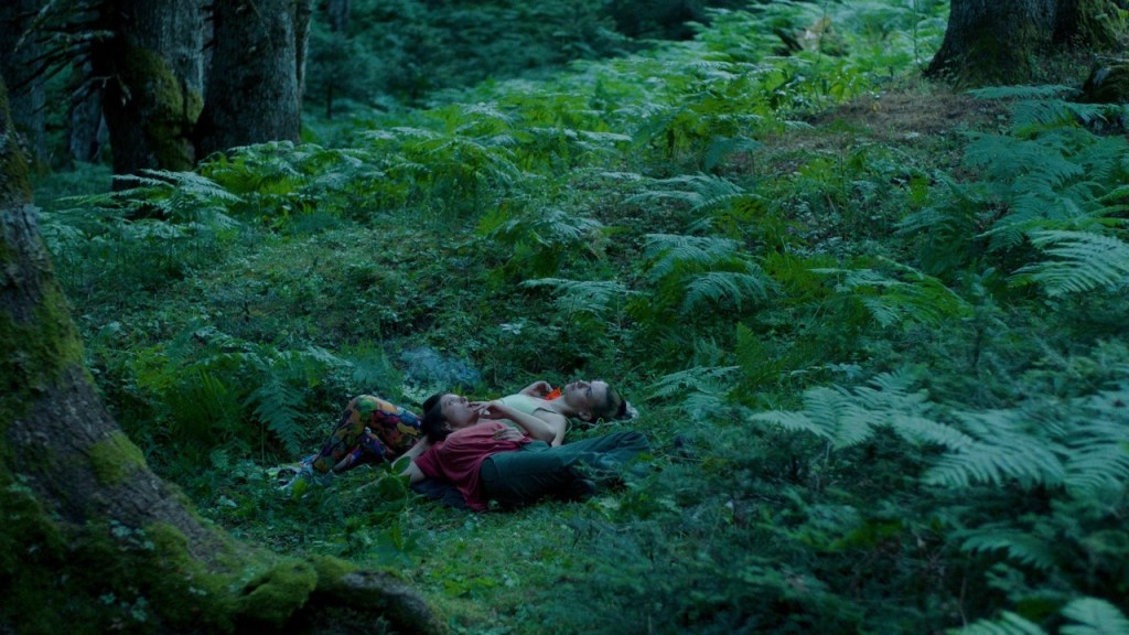 “If You’re Just Reproducing Tragedy, How Can People Live Differently?” — Stergios Dinopoulos on&nbsp;Bearcave